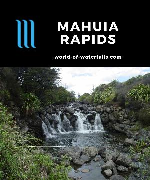 Mahuia Rapids was really an accidental find as we were actually looking for Matariki Falls and Toakakura Falls, which happened to be obscure labels on a map of the Tongariro National Park area in...