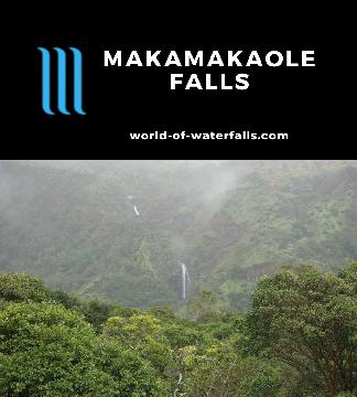 Makamakaole Falls is a multi-tiered 270ft waterfall in West Maui seen while hiking the Waihee Ridge Trail. It appeared throughout the early part of the hike.
