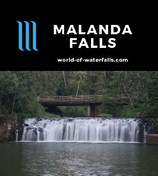 Malanda Falls is a short but wide waterfall with some swimming infrastructure in its plunge pool for relief from the tropical heat in the Atherton Tablelands.