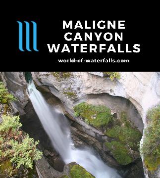 Maligne Canyon Waterfalls are prominent features cutting the deepest slot canyon in the Canadian Rockies accessed by a 20-minute loop walk near Jasper, Canada.