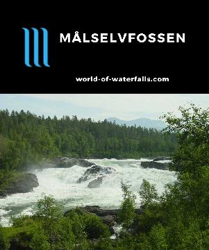 Malselvfossen (Målselvfossen) is a 22m high, 650m long wide river waterfall in an area known for salmon fishing in Troms County, Norway near Bardufoss.