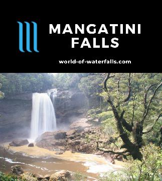 Mangatini Falls is a 25m waterfall that we accessed by hiking the historic Charming Creek Walkway at the west coast of New Zealand's South Island near Westport.