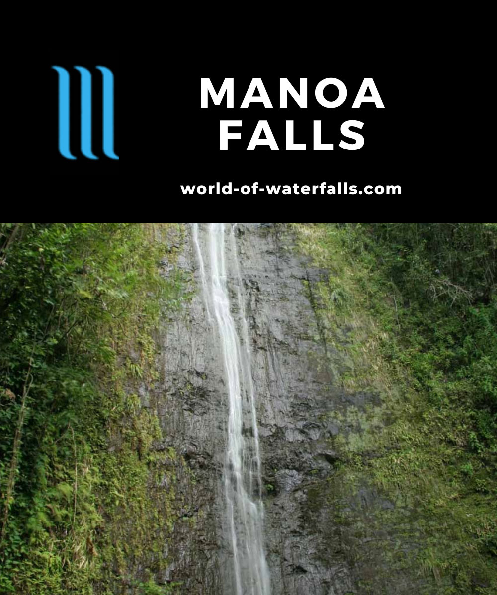 Manoa Falls Popular Honolulu Waterfall In A Bamboo Jungle