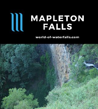 Mapleton Falls is a 120m waterfall on Pencil Creek dropping into an ancient rainforest on the Blackall Range in the Hinterland of Queensland's Sunshine Coast.