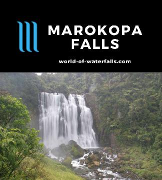 Marokopa Falls is a classic block-shaped waterfall dropping 35m reached on a short walk west of the famous Waitomo Caves in the Waikato Region, New Zealand.