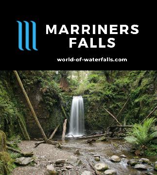Marriners Falls is a 7m waterfall nestled in the forest lands in back of the coastal town of Apollo Bay accessed on a track with lots of stream crossings.