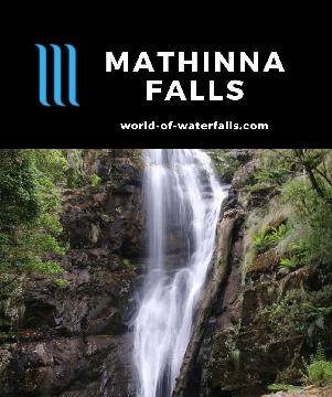 Mathinna Falls is a 20-25m waterfall on Delvin Creek (with hidden upper tiers) accessed from a fairly remote 1.2km bush walk near the East Coast of Tasmania.