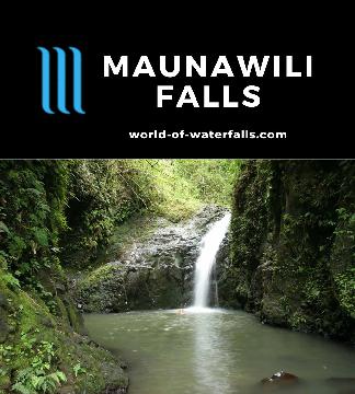 Maunawili Falls is a small but popular 15-30ft waterfall and swim hole reached after a jungle hike with a few stream crossings that began in a residential area.