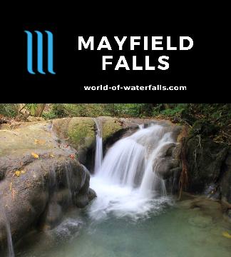 Mayfield Falls is a series of 21 very small cascades on the Mayfield River in the heart of Western Jamaica in the Westmoreland Parish 90 minutes from Negril.