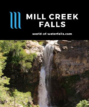 Mill Creek Falls is a 75ft waterfall where Bumpass and East Sulphur Creeks merged, accessed on a 3.2-mile RT hike from Lassen Volcanic NP's south entrance.