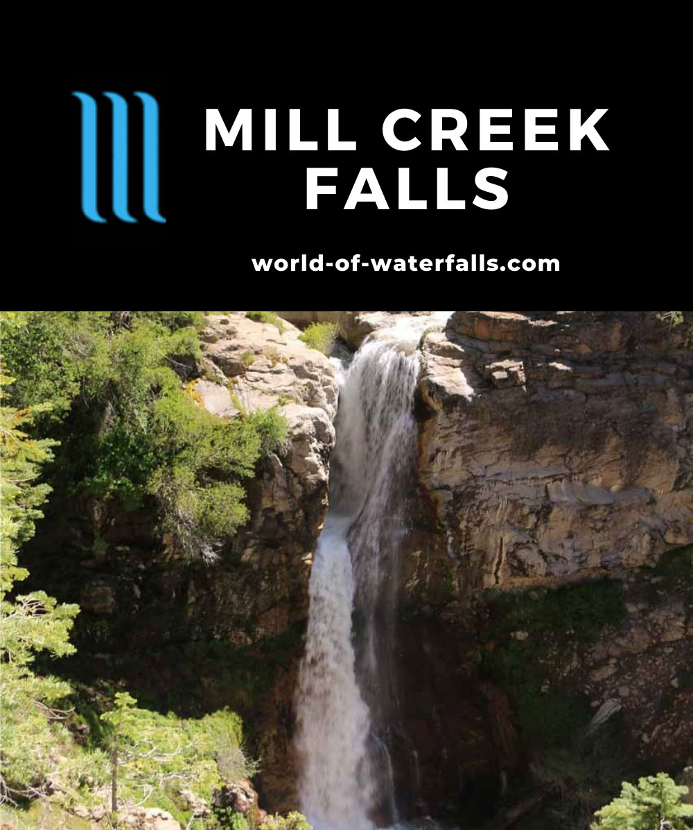 Mill_Creek_Falls_077_06212016 - Mill Creek Falls
