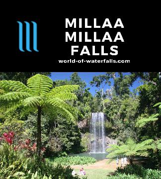 Millaa Millaa Falls is an 18m tropical waterfall that we think is the most beautiful and iconic waterfall of the waterfall-laden Atherton Tablelands region.