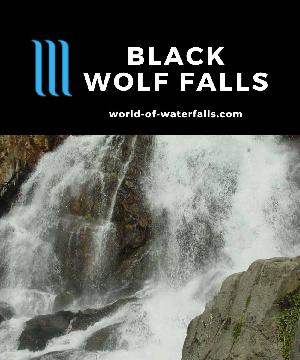 Black Wolf Falls is a conspicuous presence heading into Mineral King Valley from Silver City in a remote part of Sequoia National Park near the road's end.