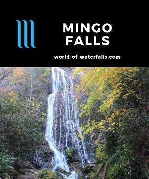 Mingo Falls is a 120ft waterfall that we think is the most scenic waterfall in the vinicity of the Great Smoky Mountains National Park accessed by a short hike.