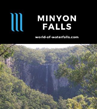 Minyon Falls is a 100m plunge waterfall in the lush Nightcap National Park near Lismore and Byron Bay viewable by lookout or a longer 4km return walk.