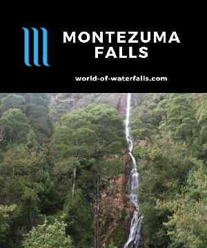 Montezuma Falls is a 104m year-round waterfall making it the highest such waterfall in Tasmania. It's reached by a 3-hour return hike along an old tramway.