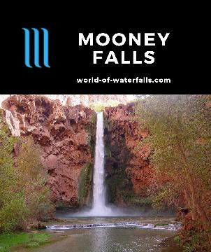 Mooney Falls is the tallest of the Havasupai Reservation waterfalls plunging some 190ft in a tall singular column amongst ominous-looking travertine cliffs.