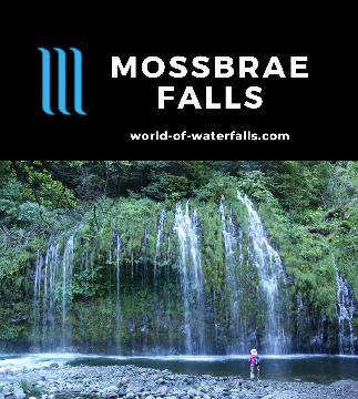 Mossbrae Falls is a 52ft tall 175ft wide seeping springs waterfall across the Sacramento River from an active railroad in Dunsmuir near Mt Shasta, California.