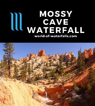 'Mossy Cave Falls' is a name I made up for this tiny 15ft waterfall near Mossy Cave. The parking for the Mossy Cave is a few minutes east of the turnoff for Bryce Canyon.