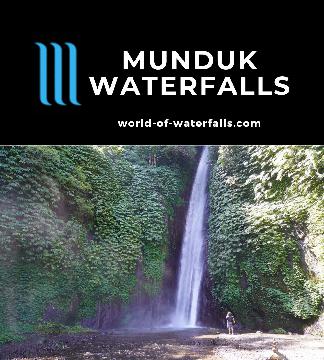 The Munduk Waterfalls are a series of at least four sizable falls - Golden Valley, Red Coral Waterfall, Labuhan Kebo, and Melanting - all doable in one hike.