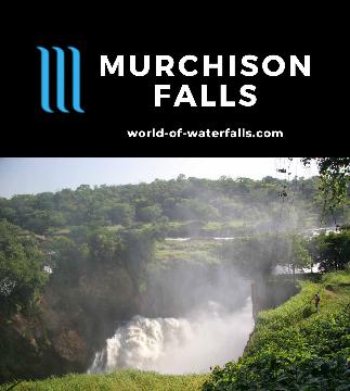 Murchison Falls (Kabarenga Falls) is possibly Uganda's most famous and powerful waterfall where we saw it as part of a wildlife safari on the Victoria Nile.