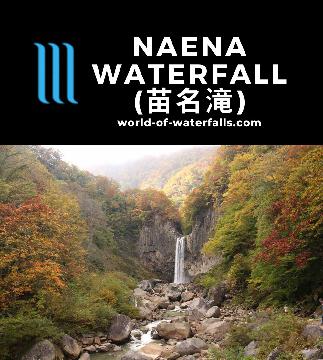 Naena Waterfall (苗名滝; Naena Falls) is a 55m falls on Sekigawa plunging over a pronounced basalt cliff where we saw the near peak of the koyo in Niigata, Japan.