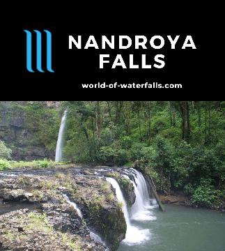 Nandroya Falls is a multi-drop 50m waterfall accessed on a 6km loop walk in a humid Wet Tropics rainforest within the waterfall-laced Atherton Tablelands.