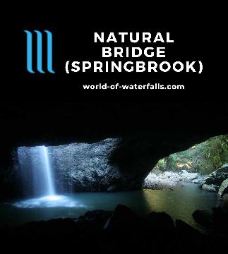 The Natural Bridge and its waterfall are unusual Springbrook National Park features where Cave Creek drops into a hole and emerges from a cave with glow worms.