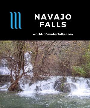Navajo Falls is the first major waterfall that we encountered in Havasu Creek downstream from Supai Village. It once dropped 75ft through thick brush.
