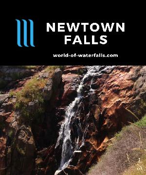 Newtown Falls tumbled on Spring Creek beneath the Newtown Bridge in the historic mining town of Beechworth, easily viewable from a lookout near the bridge.