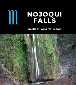 Nojoqui Falls is an 80ft moss-and-fern-fringed waterfall that grows its cliff (as opposed to eroding it) reached by a 0.6-mile round-trip stroll near Solvang.