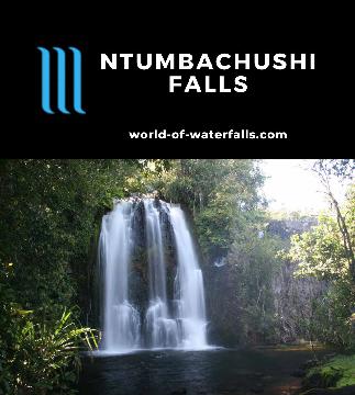 Ntumbachushi Falls is a 15-20m tall waterfall segmented into a pair of similar-looking drops that may join in the rainy season. It's near the town of Kawambwa.