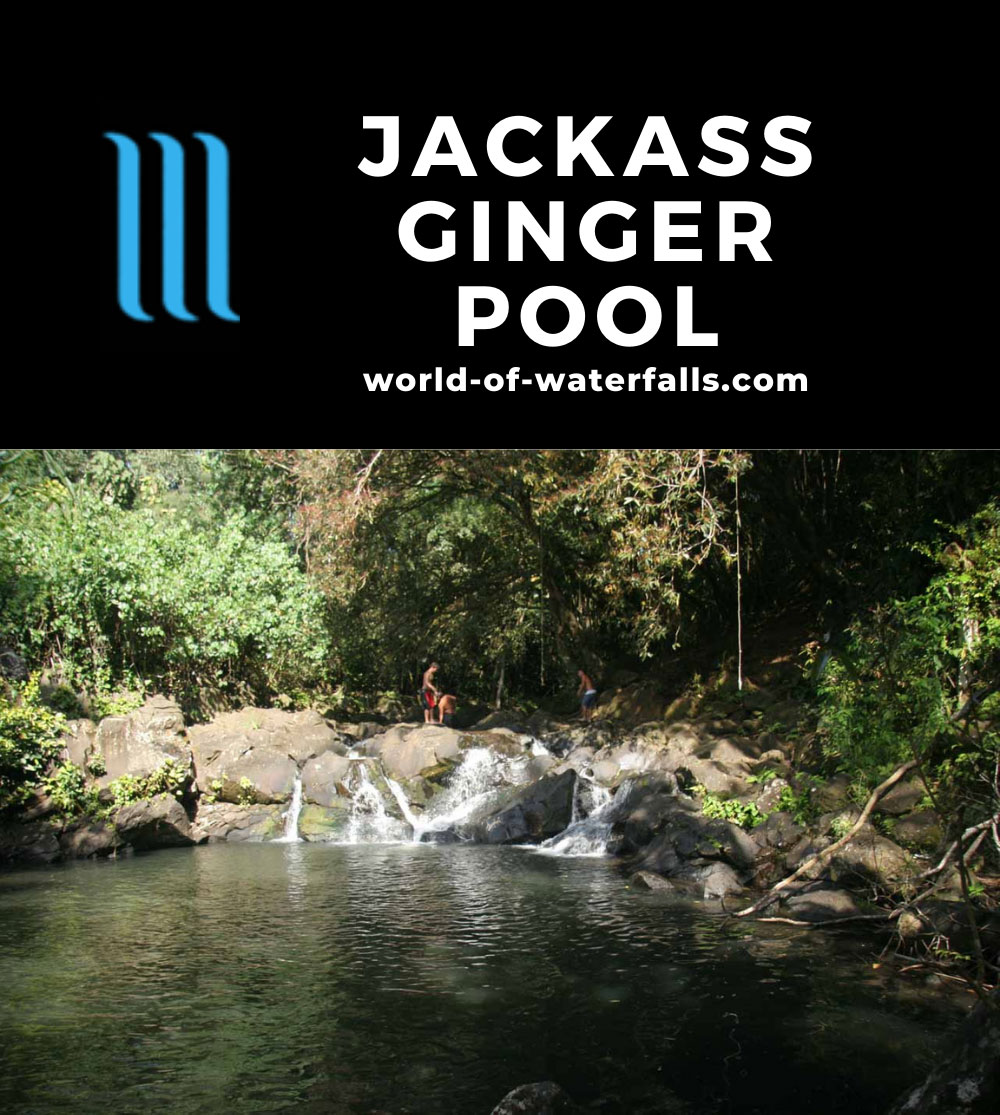 Jackass Ginger Pool - Swimming Hole off the Judd Trail