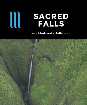 Sacred Falls is hands down the most beautiful waterfall on O'ahu where the bottom of this 1100ft waterfall was once accessible along a trail in a narrow canyon.