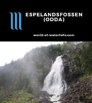 Espelandsfossen is one of a handful of major waterfalls in the waterfall-laced Odda Valley between Skare and Odda all seen from the Rv13 in Vestland, Norway.