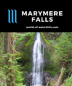 Marymere Falls is a popular 90ft waterfall accessed by a 1.6-mile round-trip hike in old growth forest from Crescent Lake in Olympic National Park, Washington.