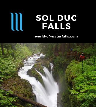 Sol Duc Falls is a 50ft three-segment waterfall reached by a lush 2-mile round-trip hike in native forest that embodies Olympic National Park in Washington.