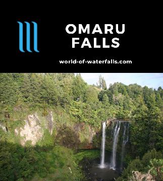 Omaru Falls is a 35m plunge waterfall accessed by a 30-minute walk over a paddock and native forest to a lookout in the Piopio area near Te Kuiti, New Zealand.