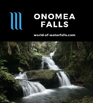 Onomea Falls is a waterfall nestled in the Hawaii Tropical Botannical Garden, which also has Boulder Creek Falls. The garden is on a drive around Onomea Bay.