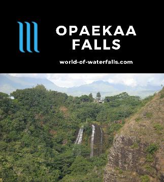 Opaekaa Falls (or Opaeka'a Falls) is a segmented waterfall tumbling some 151ft that is visible from a roadside lookout not far from Kapaa (or Kapa'a) on Kaua'i.