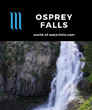 Osprey Falls is a 150ft waterfall on the Gardner River inside Sheepeater Canyon accessed on a 9.2-mile hike around Bunsen Peak and into a recovering forest.