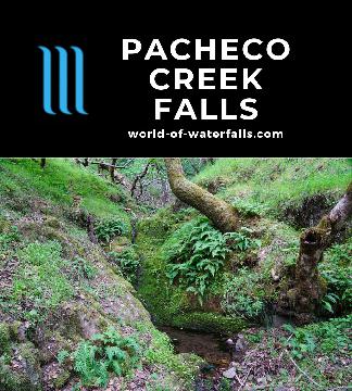 Pacheco Creek Falls was really a series of small and seasonal waterfalls draining the limited catchment of Big Rock Ridge within the Pacheco Valle Preserve.