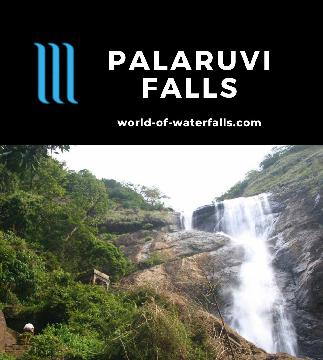 Palaruvi Falls is a 91m waterfall near the Kerala-Tamil Nadu border, and known for having ayurvedic healing properties so it has gender-separated bathing areas.