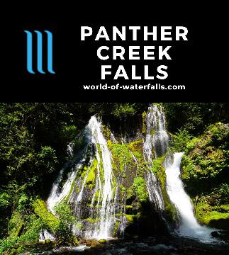 Panther Creek Falls was a pretty 50-75ft waterfall in the Wind River part of Gifford Pinchot National Forest where Panther Creek and Big Creek converged.