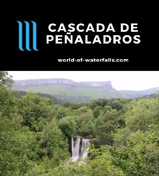Cascada de Penaladros (Cascada de Peñaladros) is a 15m waterfall on the Río San Miguel surrounded by a forest backed by attractive cliffs near Cozuela, Spain.