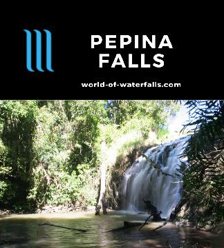 Pepina Falls is a hidden waterfall tumbling 5m on Middlebrook Creek beneath a road bridge accessed by a 90m scramble in the Atherton Tablelands near Ravenshoe.