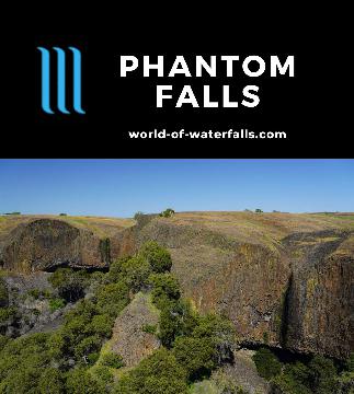 Phantom Falls is a seasonal 164ft waterfall on the Gold Run dropping into a columnar basalt-rich canyon on a trail in a pasture full of Spring wildflowers.