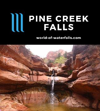 Pine Creek Falls is a well-hidden 25-30ft waterfall downstream from its namesake technical slot canyon, but we had to earn our visit with a dicey scramble.