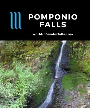 Pomponio Falls is an unassuming 25ft waterfall within Memorial County Park where coastal redwood trees dominate the campground near Pescadero, California.