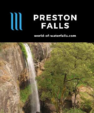 Preston Falls is a 25m waterfall on Preston Creek with a lookout accessed by a short 120m track in a blackwood forest near the Gunns Plains and Ulverstone.